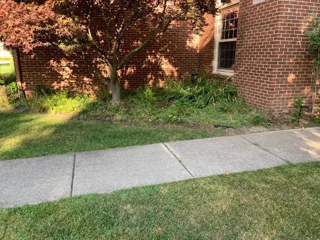 Deans Lawn Care Project Photo