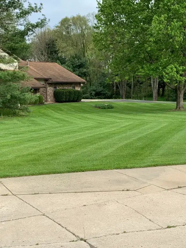 Deans Lawn Care Project Photo