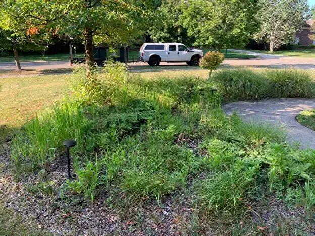 Deans Lawn Care Project Photo