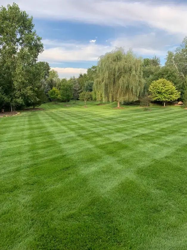 Deans Lawn Care Project Photo