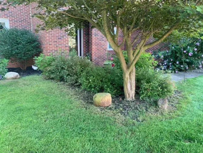 Deans Lawn Care Project Photo