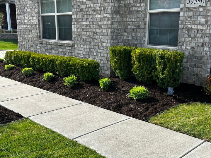 Brick house with a landscaped border of bushes and mulch next to a sidewalk.