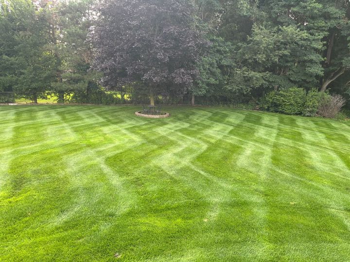 Green lawn with diagonal mowing patterns, trees in background.