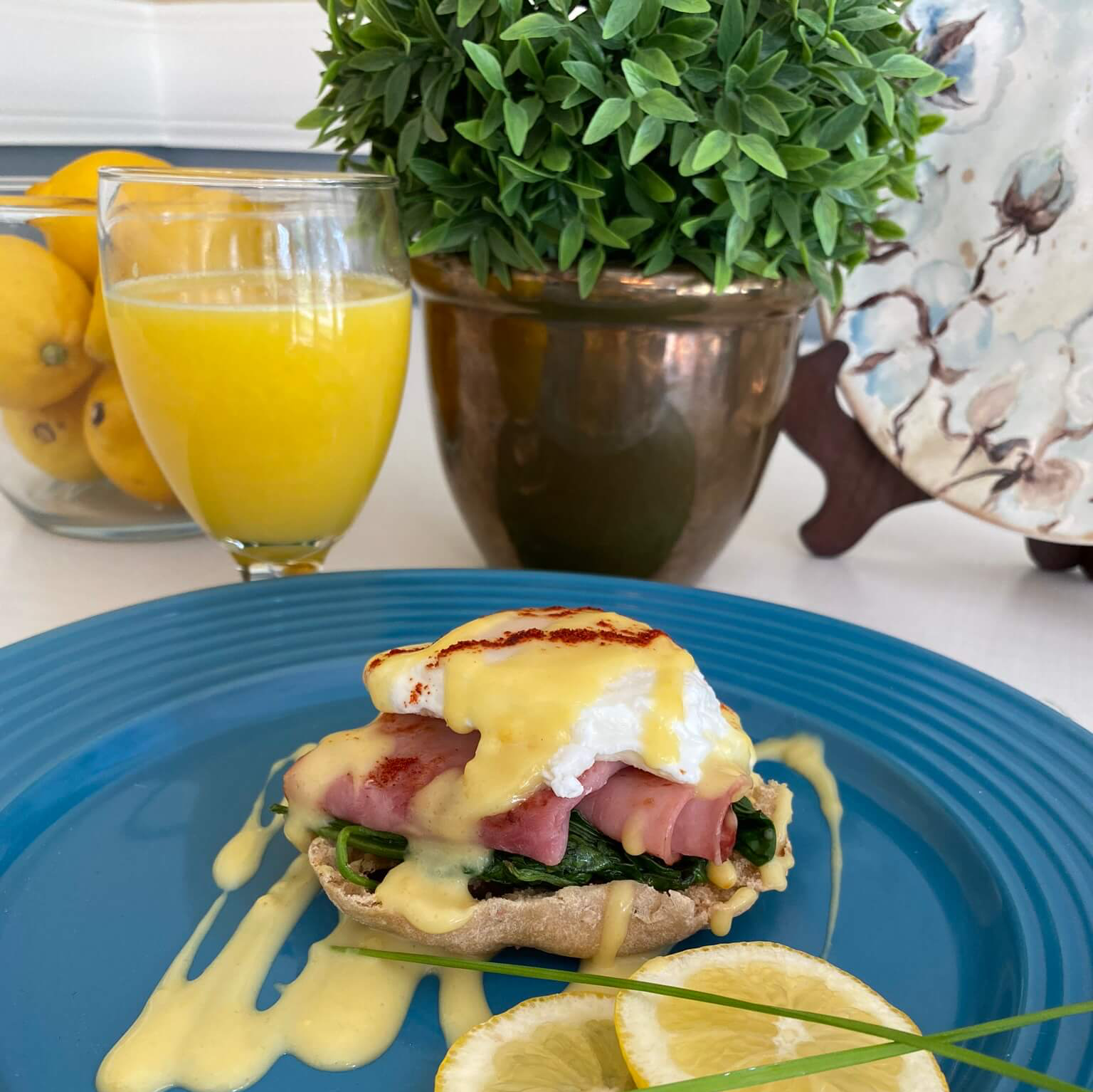 eggs benedict displayed on bright blue plate made fresh by retirement community chef