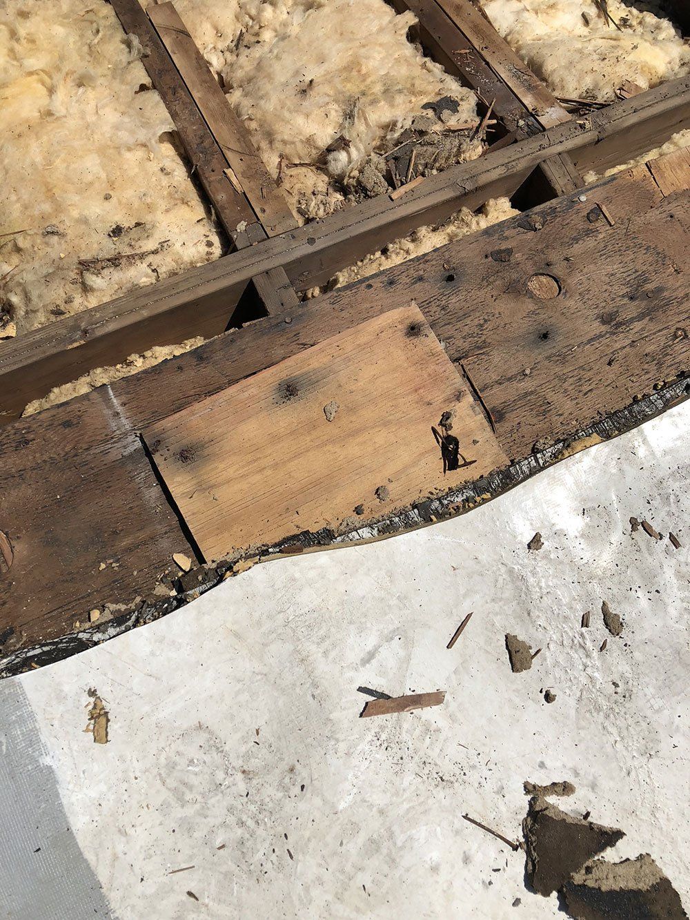 A close up of a piece of wood on a concrete surface.