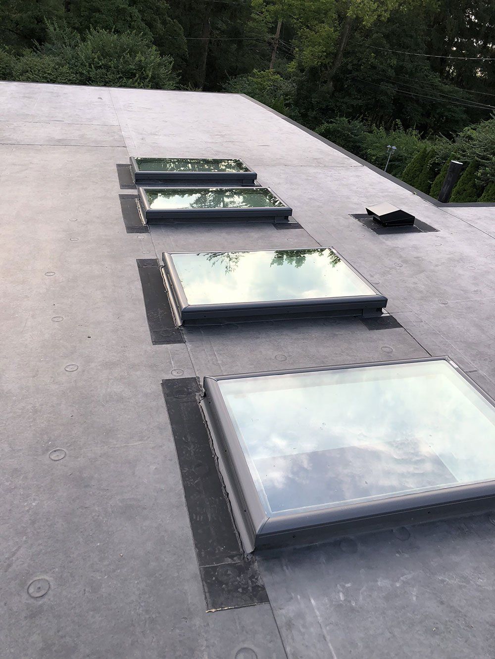 A row of skylights on the roof of a building.