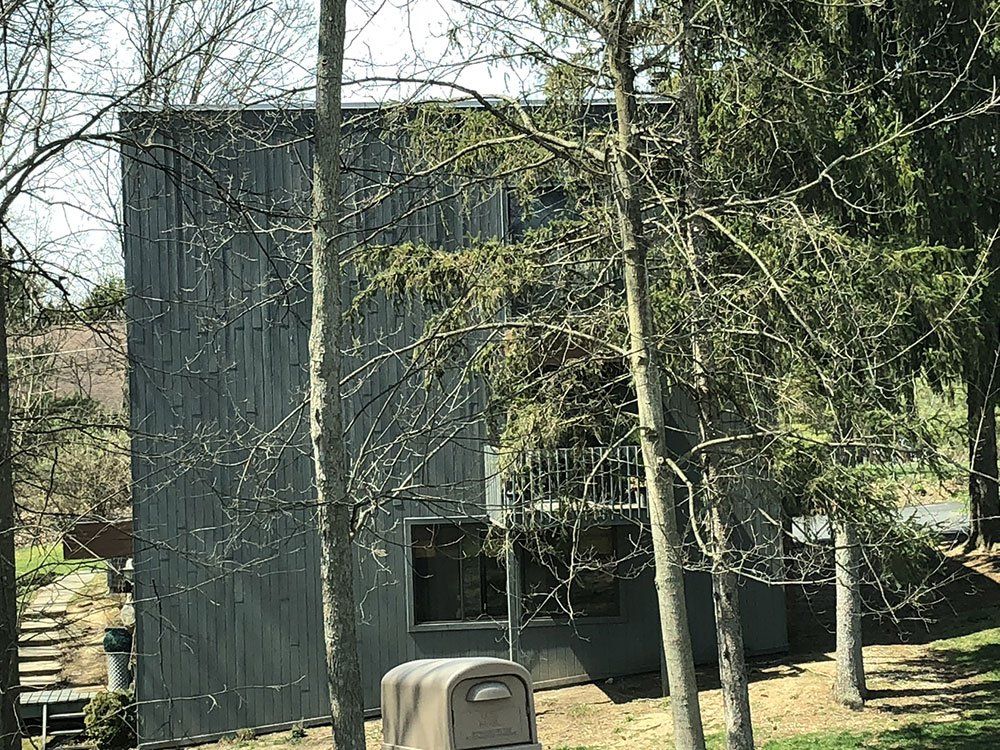 A house with a mailbox in front of it is surrounded by trees.