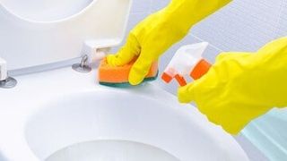 Cleaning WC — Bathroom Cleaning in Great Falls, MT