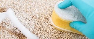 Cleaning Carpet — Cleaning Service in Great Falls, MT