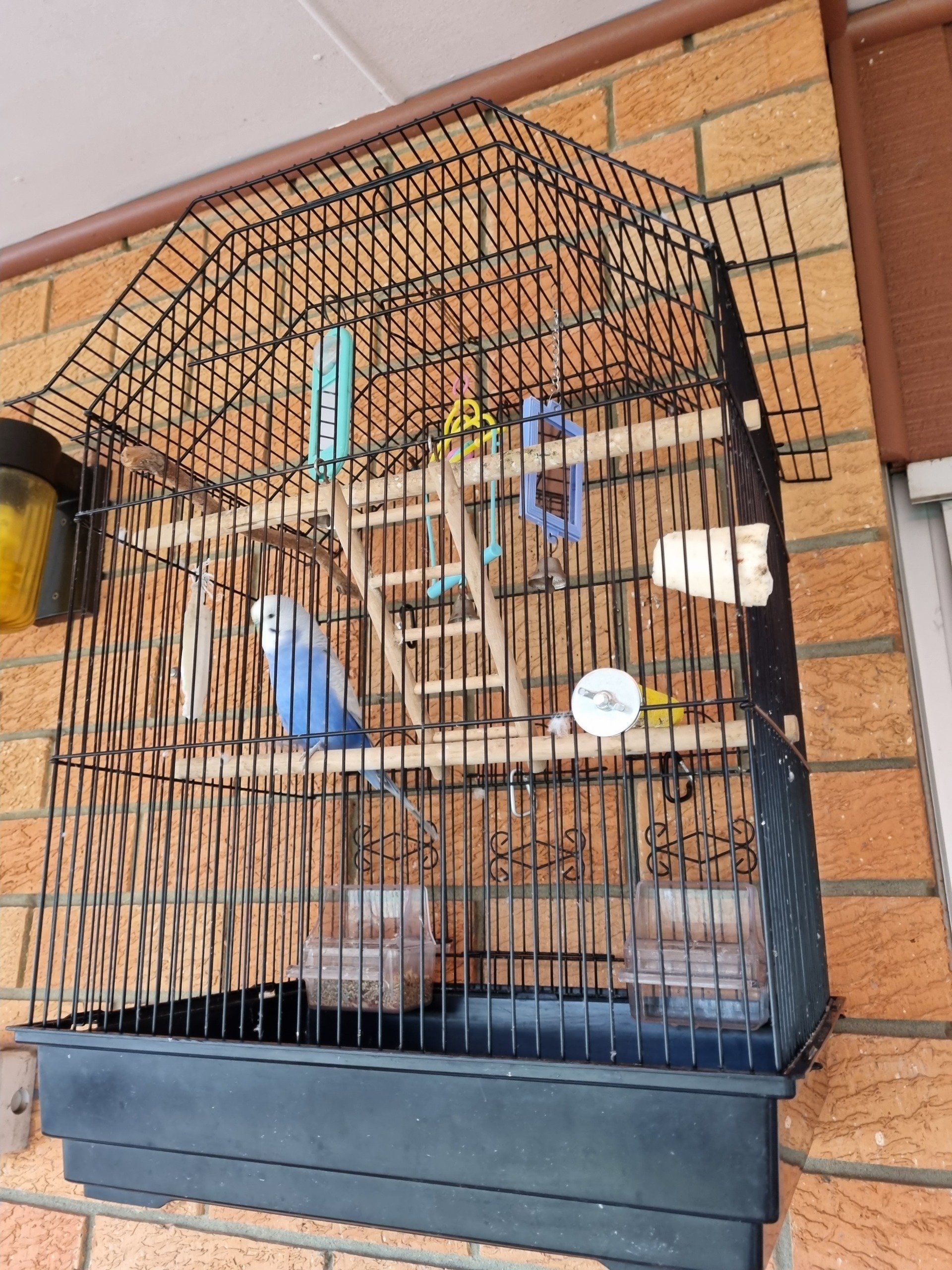 Bird Cage — Holmesville, NSW — Holmesville Playhouse Preschool