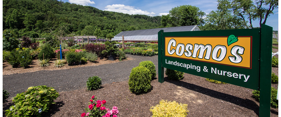 Cosmo's Landscaping and Nursery