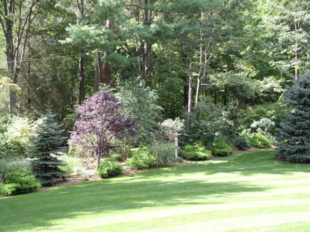 Cosmo's Landscaping and Nursery - Gallery