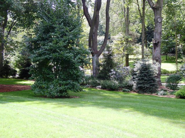 Cosmo's Landscaping and Nursery - Gallery