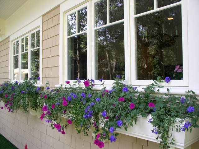 Cosmo's Landscaping and Nursery - Gallery