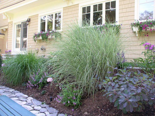 Cosmo's Landscaping and Nursery - Gallery