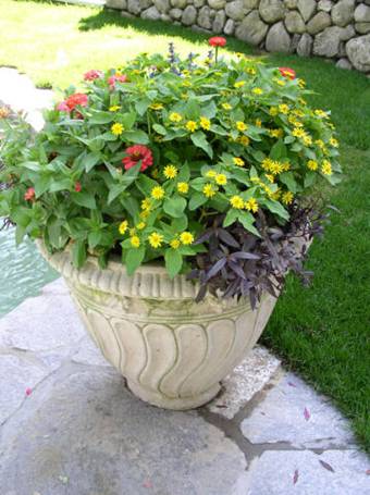 Cosmo's Landscaping and Nursery - Gallery