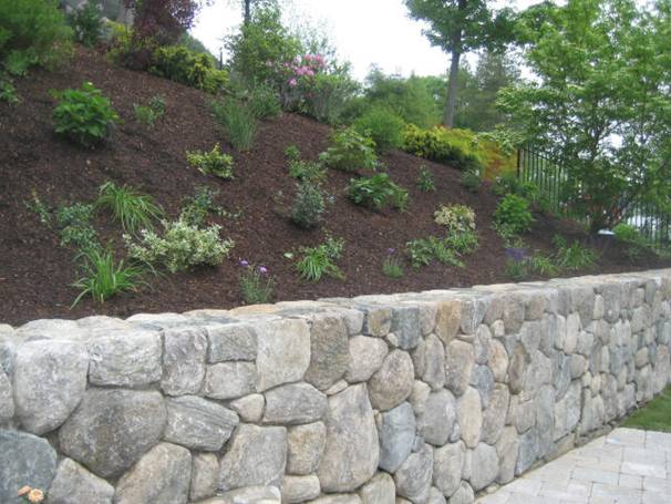 Cosmo's Landscaping and Nursery - Gallery