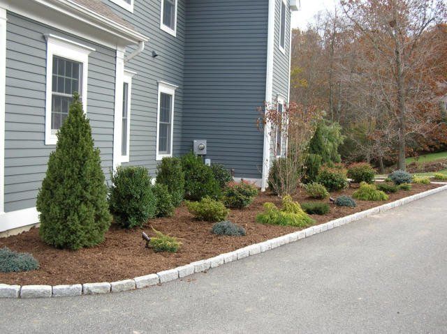 Cosmo's Landscaping and Nursery - Gallery