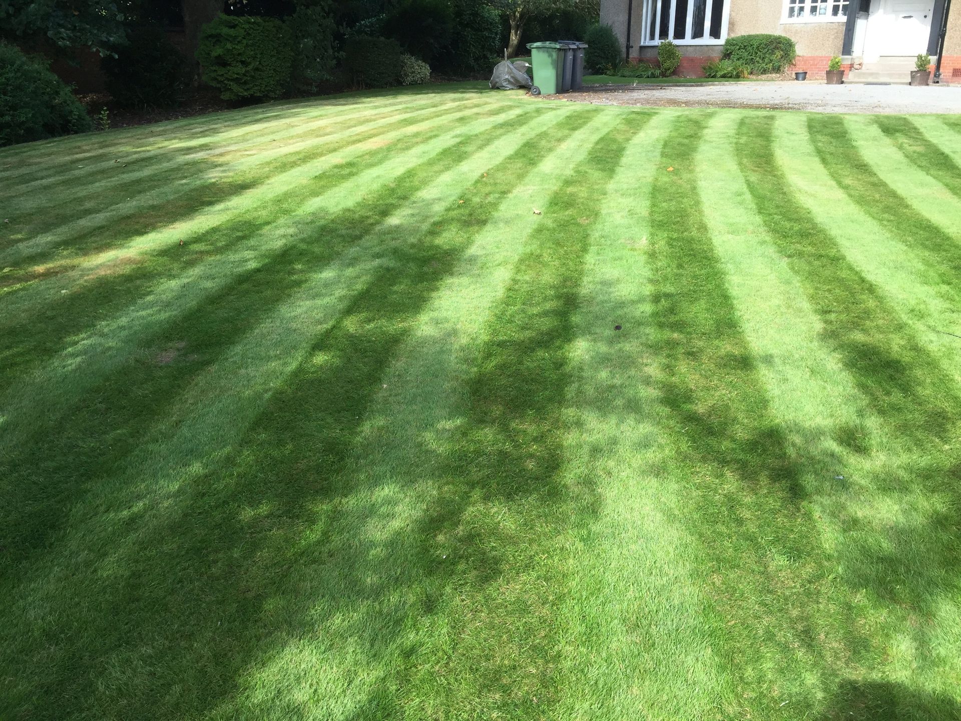 striped lawn