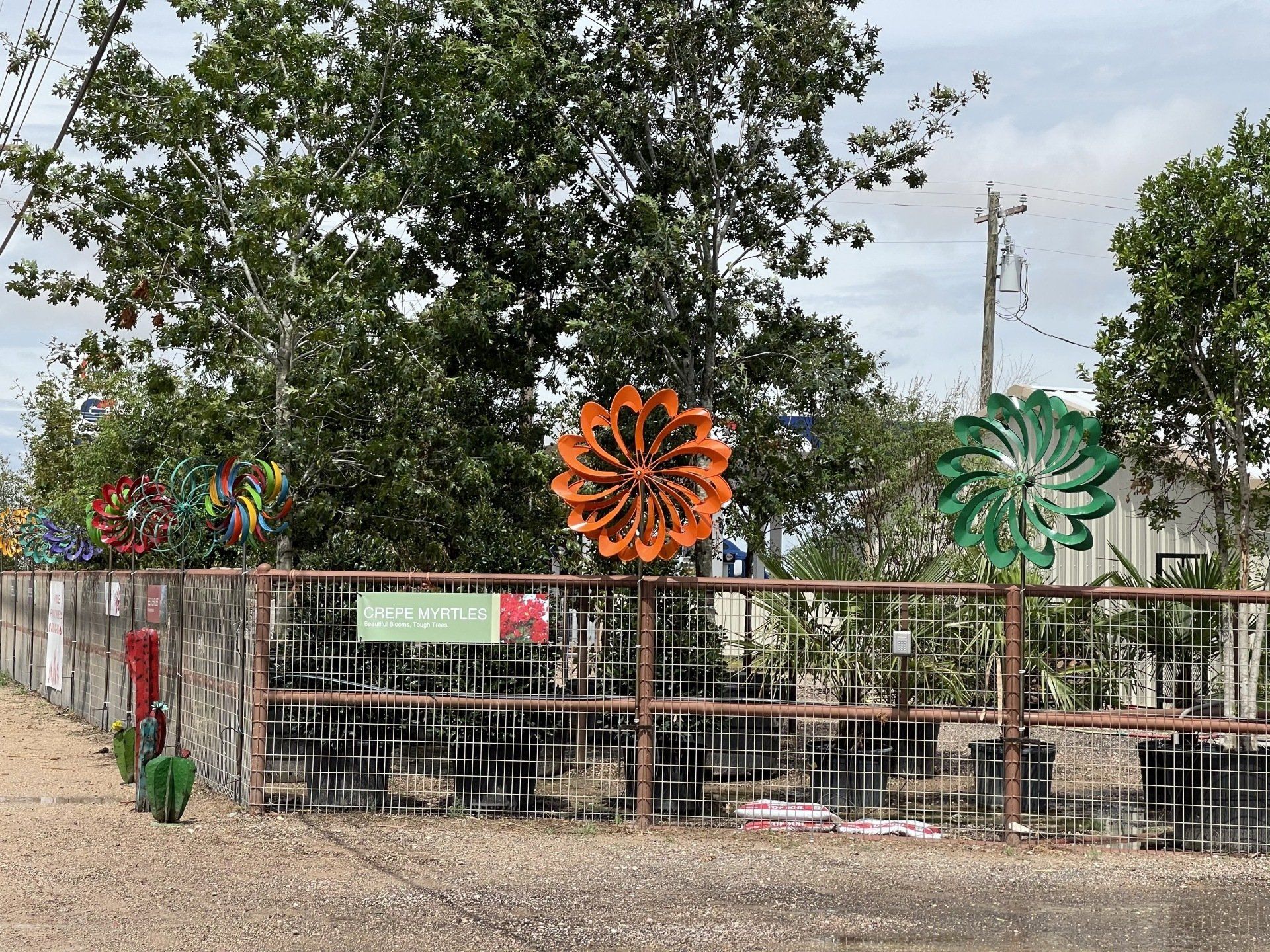 Tree Clinic & Care Midland, TX Advanced Tree Clinic