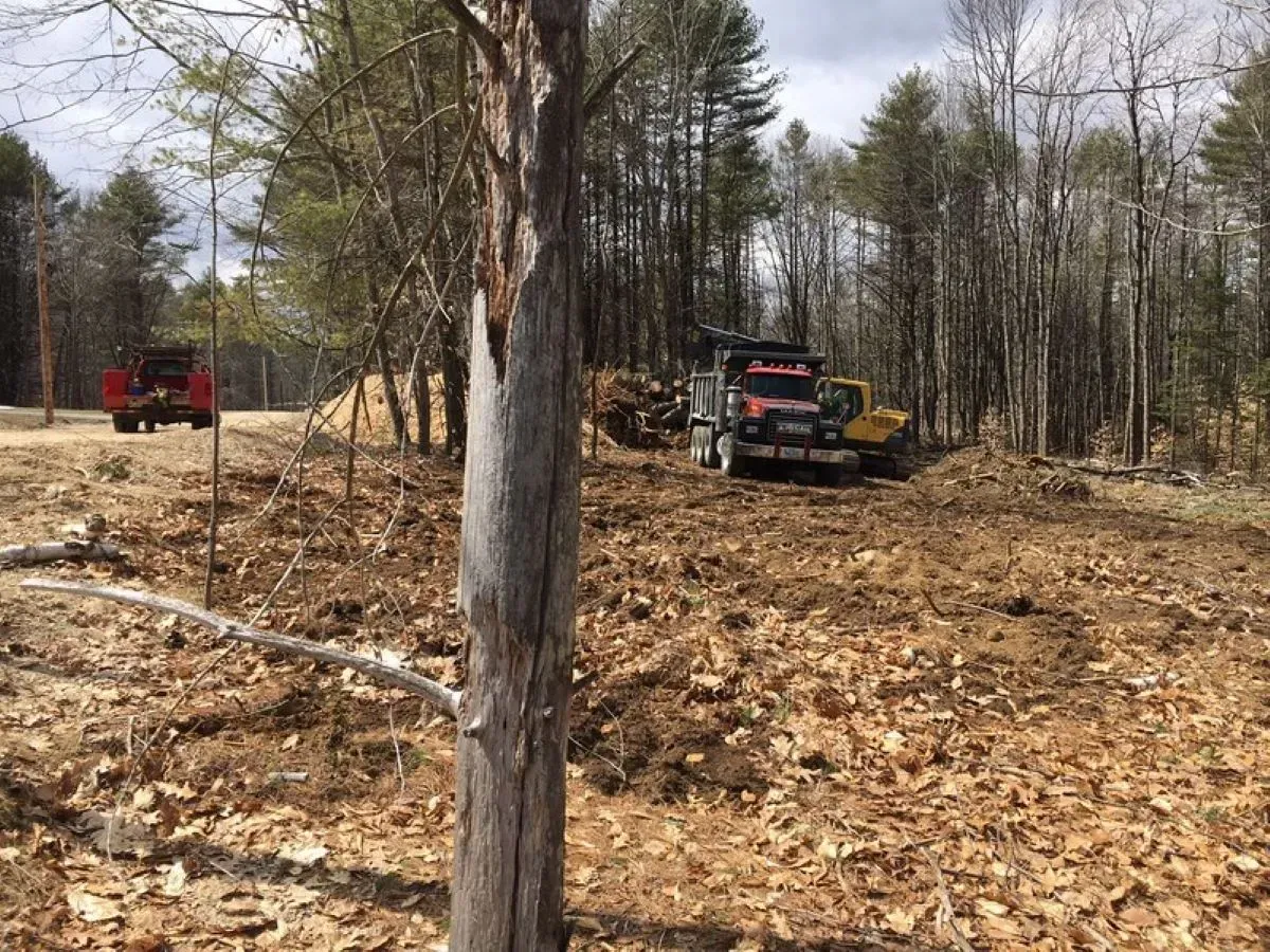 A truck is driving down a dirt road in the woods.