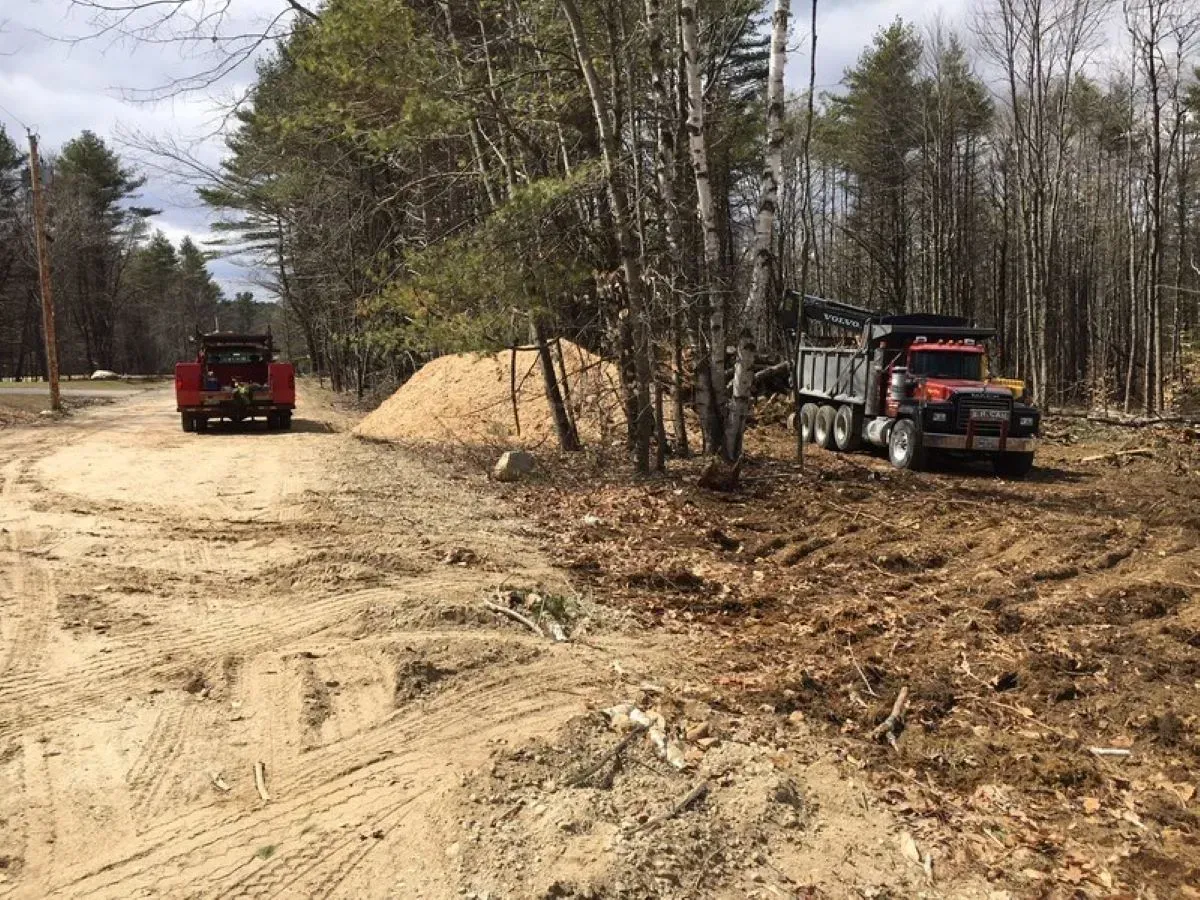 A dump truck is driving down a dirt road in the woods.