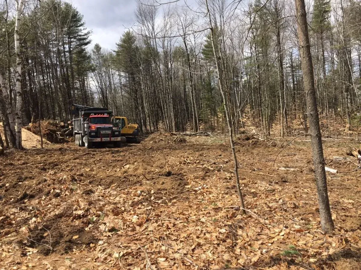 A truck is driving down a dirt road in the middle of a forest.