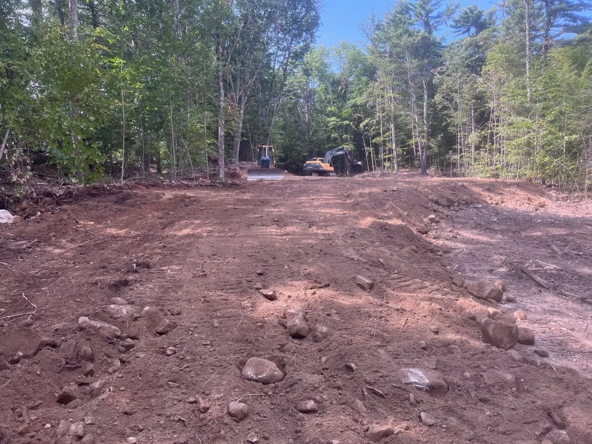 A dirt road in the middle of a forest with trees in the background.
