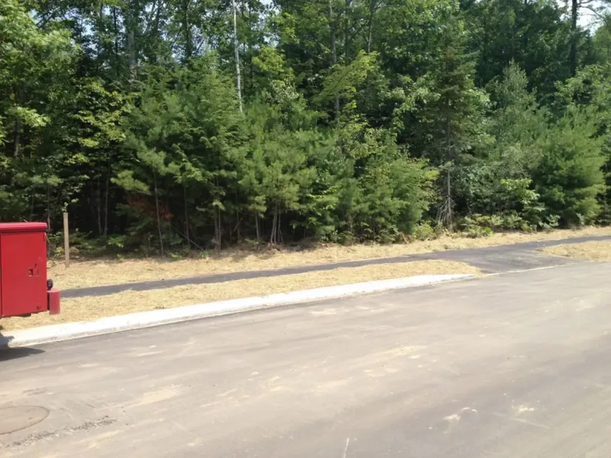 A red mailbox is sitting on the side of a road next to a forest.