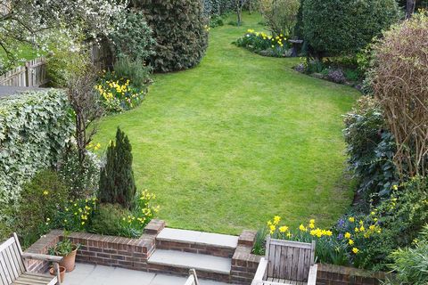 A lush green garden with a brick wall and stairs