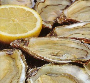 ostriche oyster house