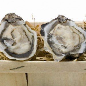 ostriche oyster house