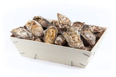 ostriche oyster house