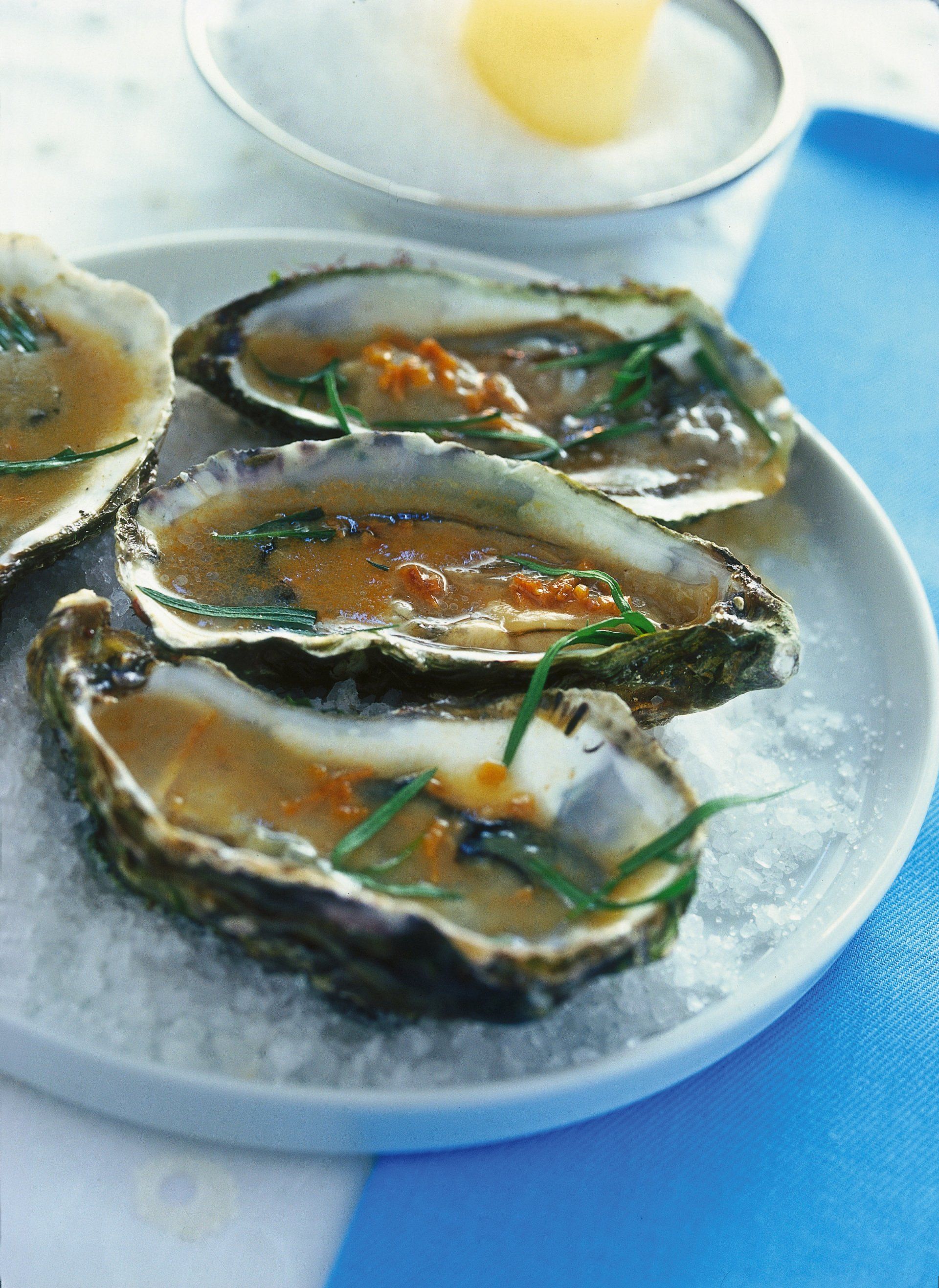 ostriche oyster house