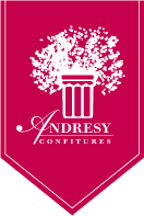 andresy logo