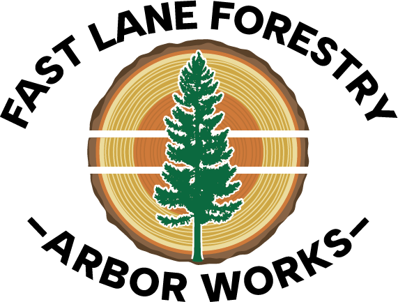 Fast Lane Forestry & Arbor Works LLC Fast Lane Forestry & Arbor Works LLC