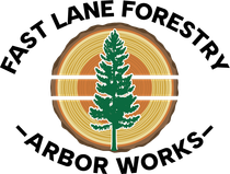 Fast Lane Forestry & Arbor Works LLC Fast Lane Forestry & Arbor Works LLC
