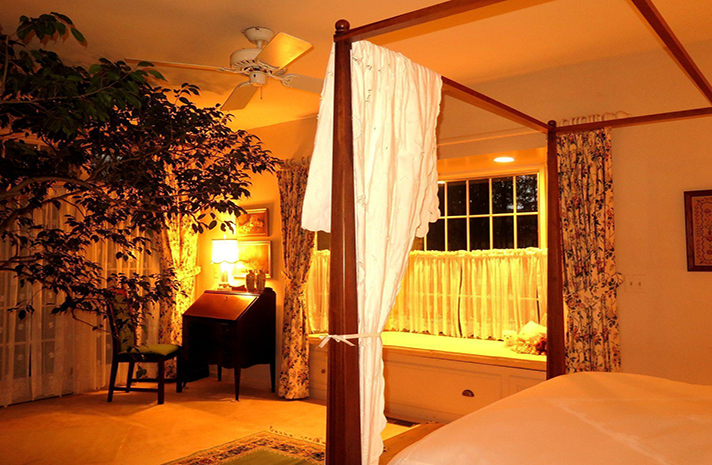 A bedroom with a canopy bed and a desk