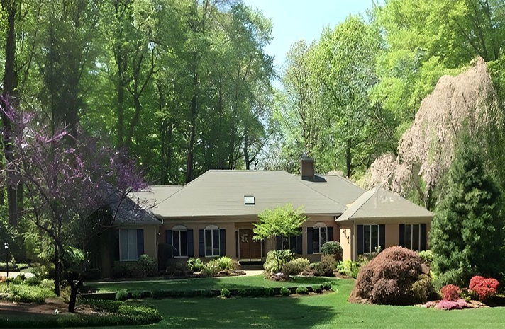 A house is surrounded by trees and bushes on a sunny day
