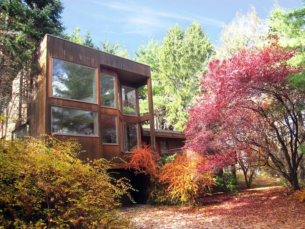 A house with a lot of windows is surrounded by trees and leaves.