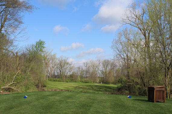 A golf course with trees and a trash can in the foreground.