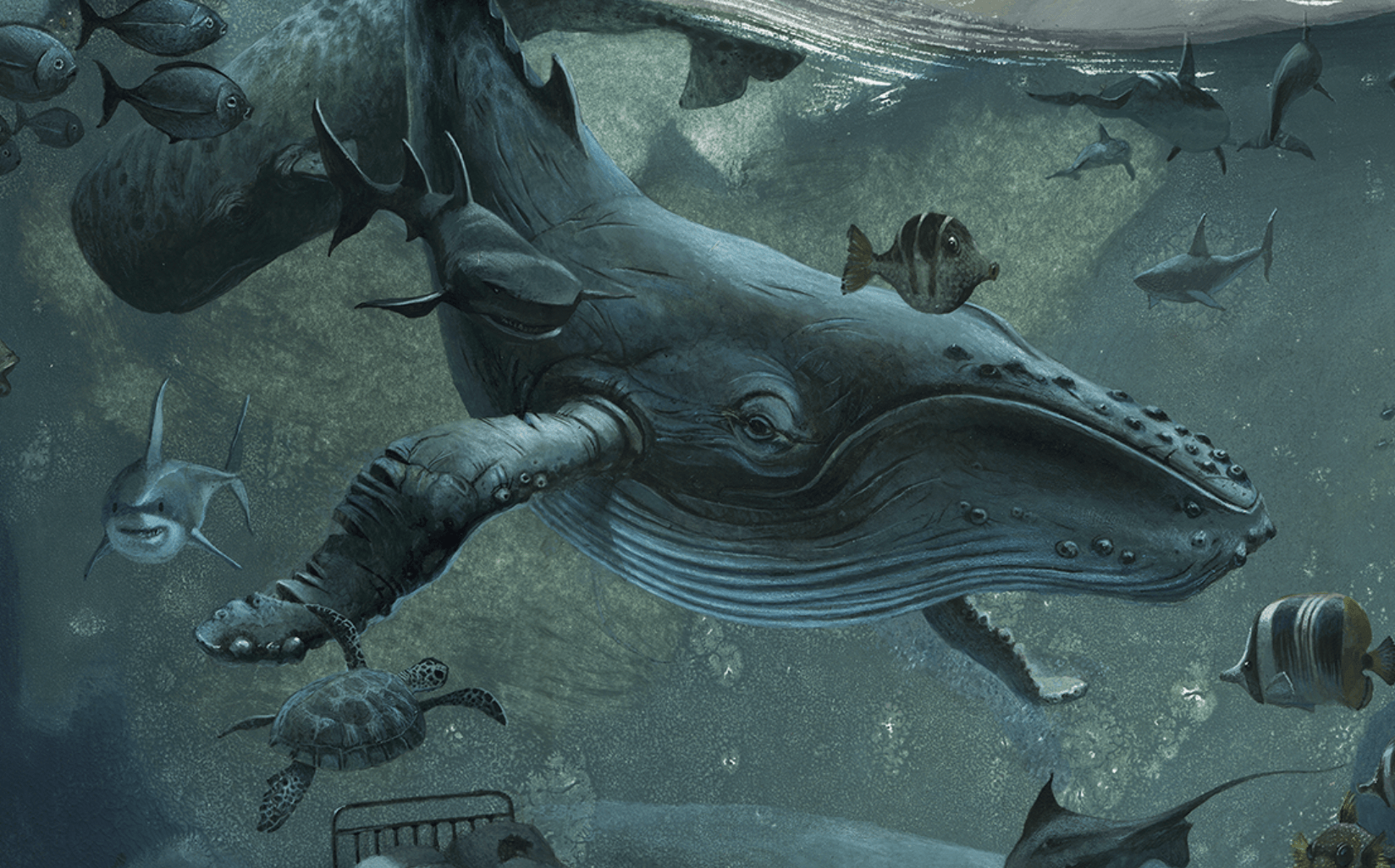 Fondation pacifique - Sillages Genève