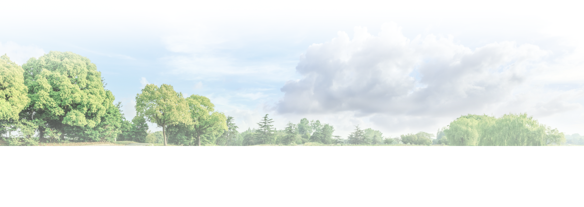 Bright green trees along a misty horizon under a pale cloudy sky