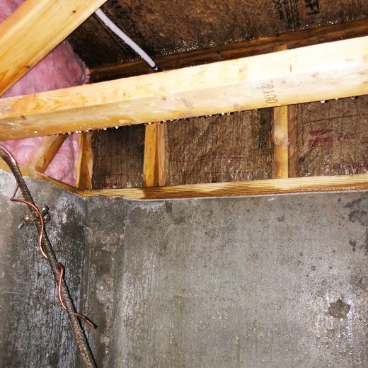 photo of damp crawlspace under a home