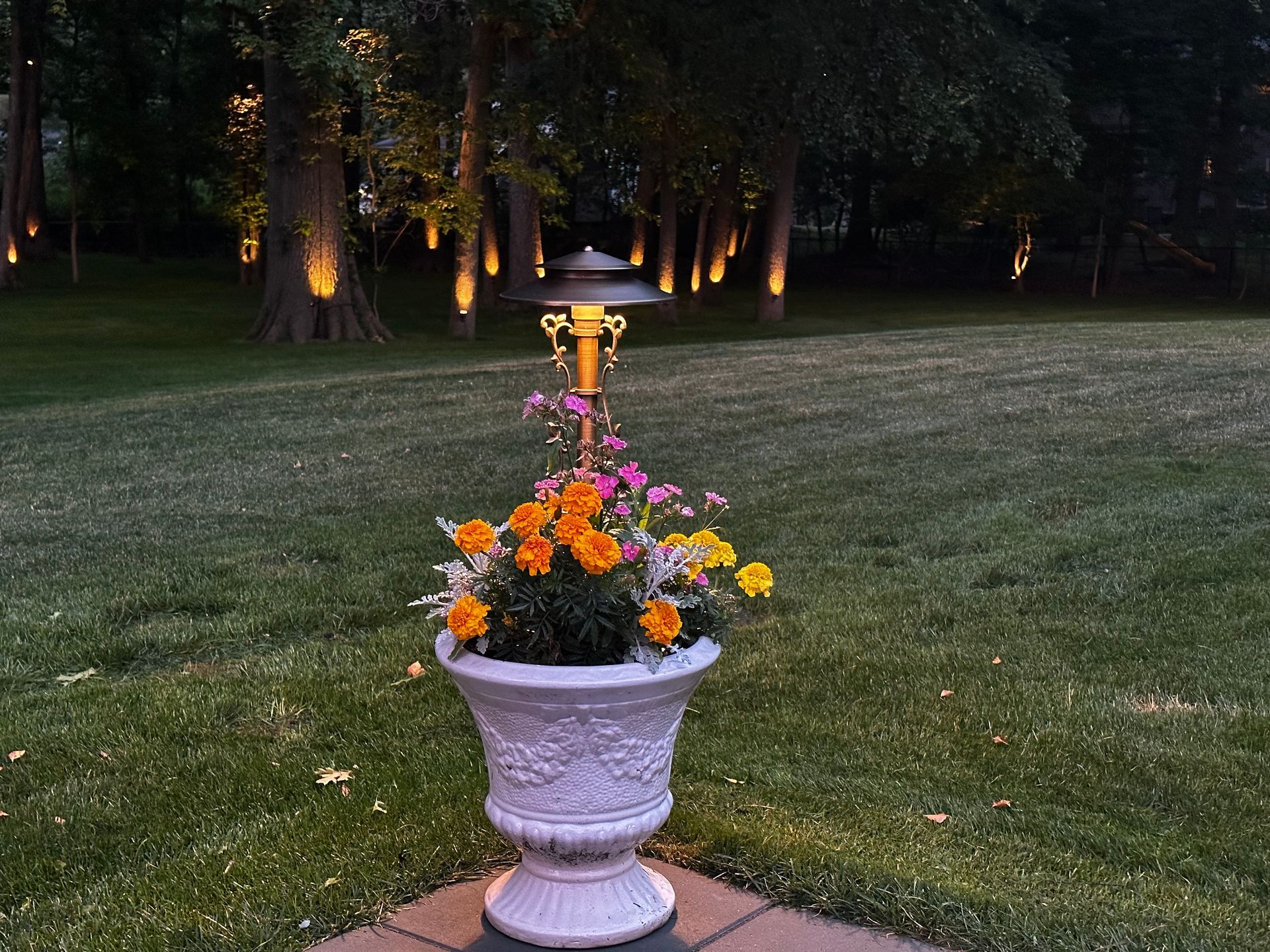 White planter with orange and yellow flowers, and a lamp fixture, with trees lit by spotlights in the background.