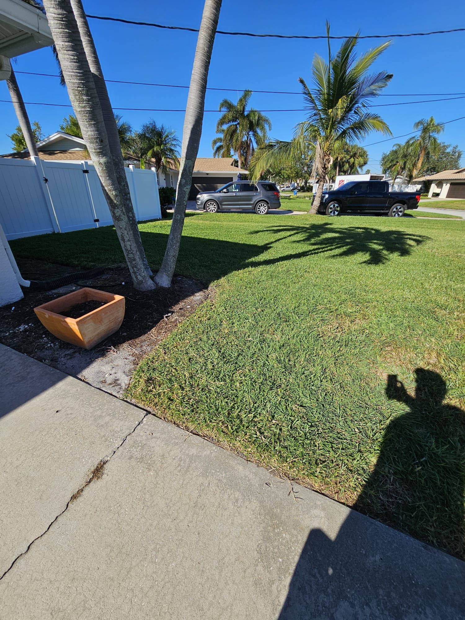 Lush green lawn with palm trees, a brown flower pot, and vehicles parked on the street.