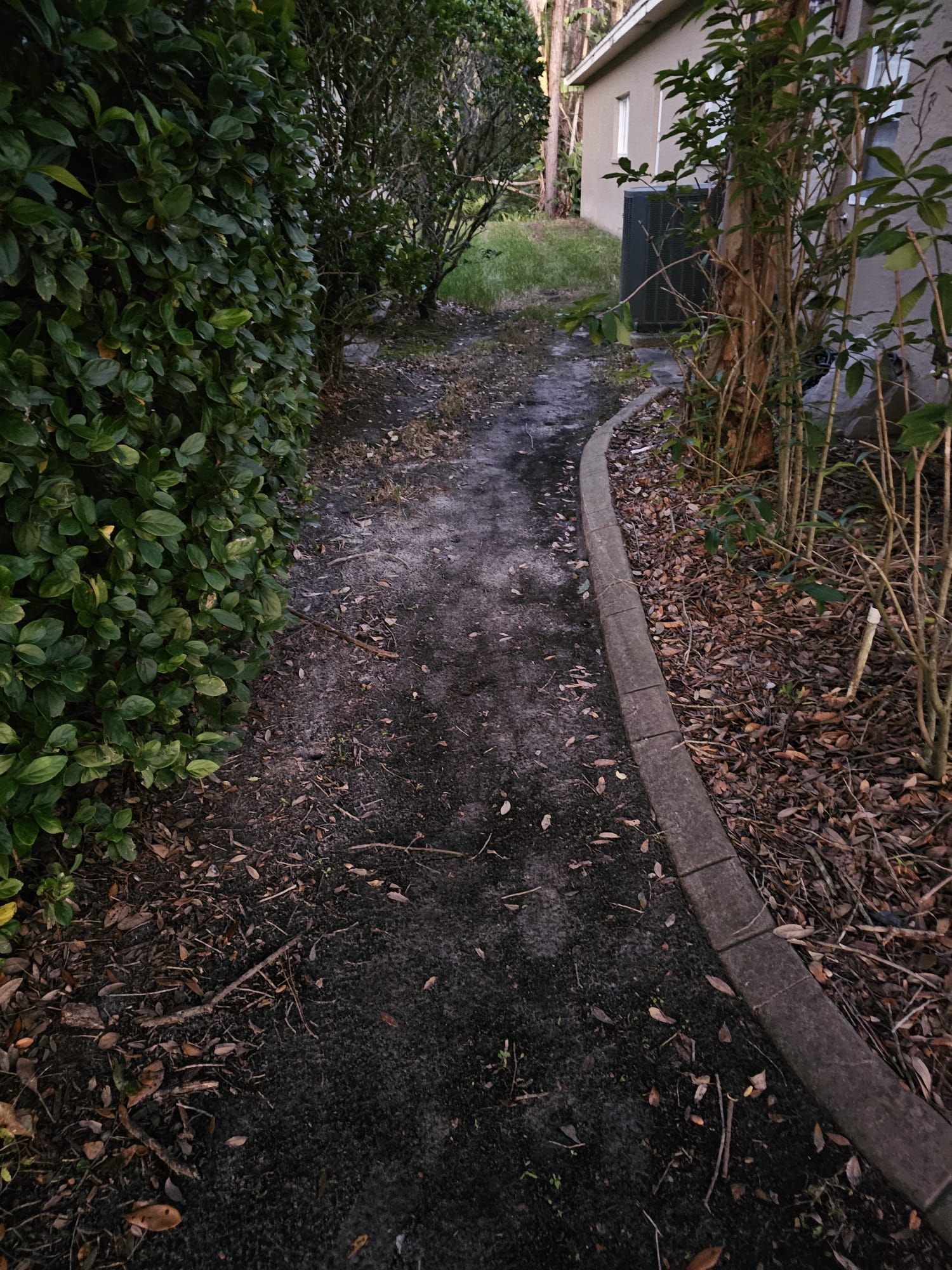 A dark, dirt path bordered by a hedge and a low curb, leading into a shaded garden area.