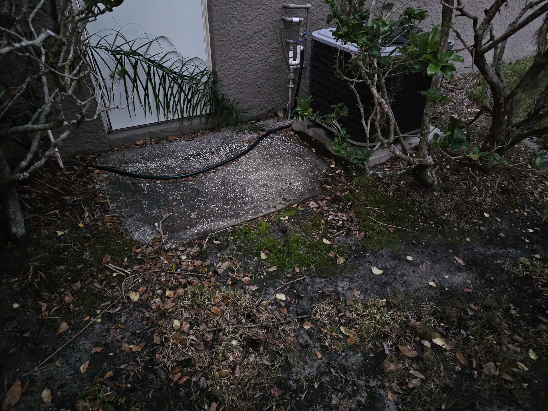 Concrete area with leaves, moss, and shrubs near a building with a door and air conditioning unit.