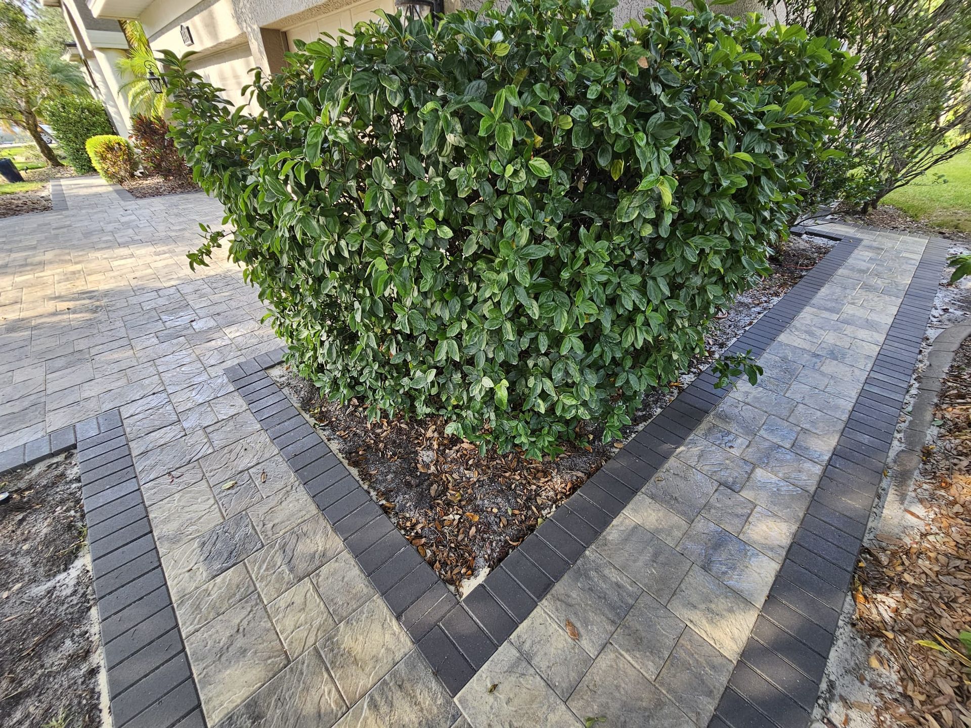 Brick walkway with a dark border surrounds a green bush. Sunlight. Outdoors.