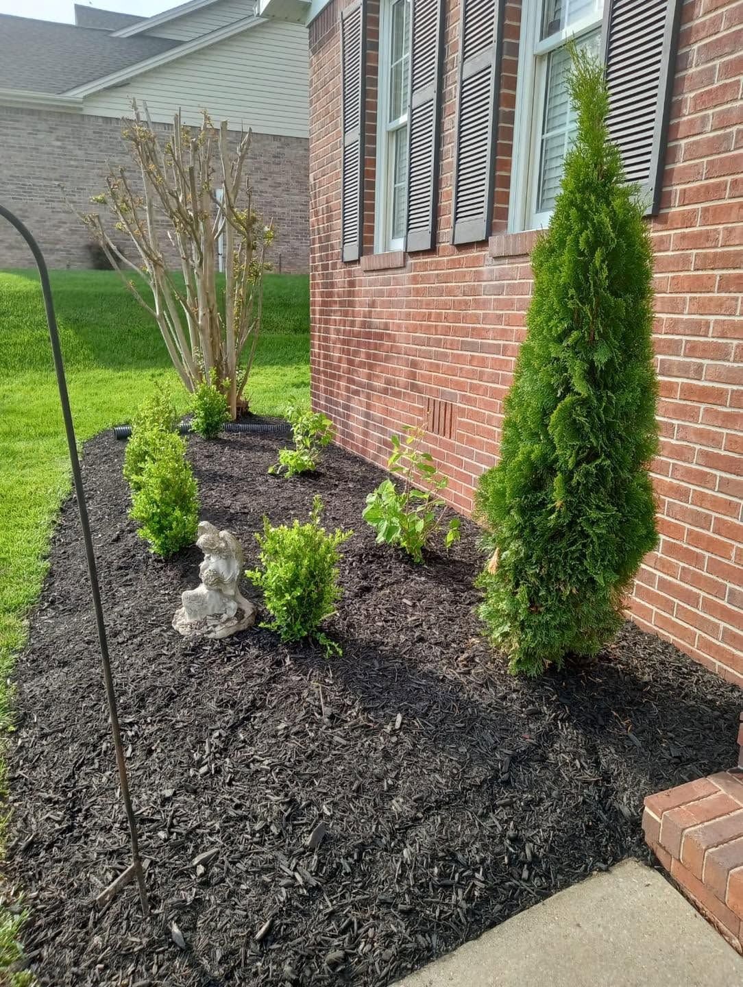 flower bed with brown mulch